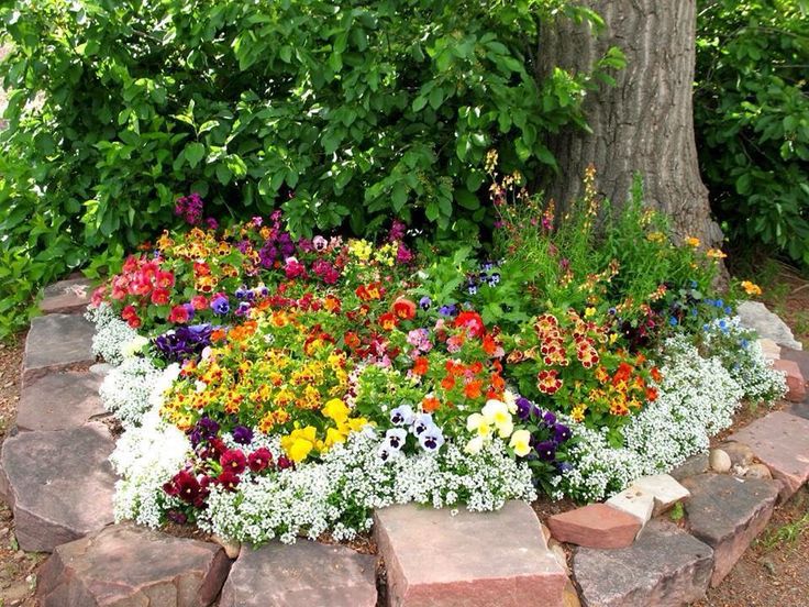 Amazing Flower Garden Ideas Style Motivation