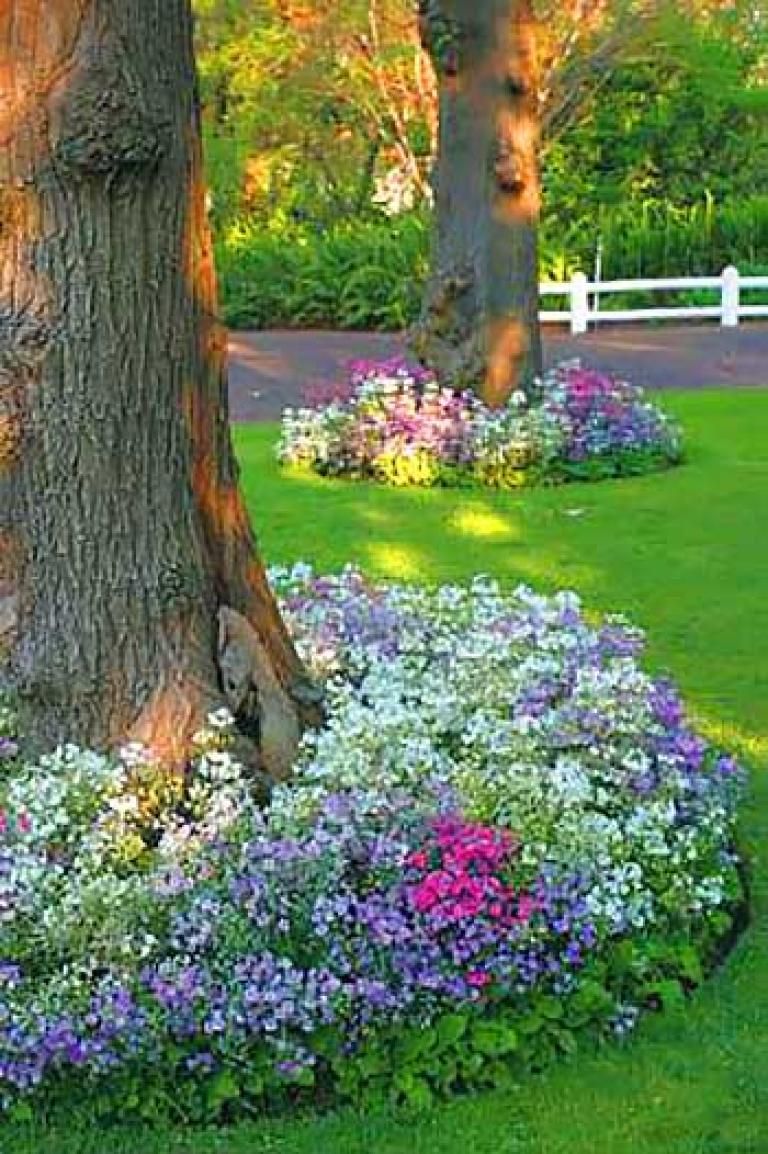 Adorable Flower Beds Ideas
