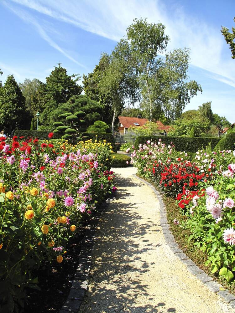 Flowering Container Gardens