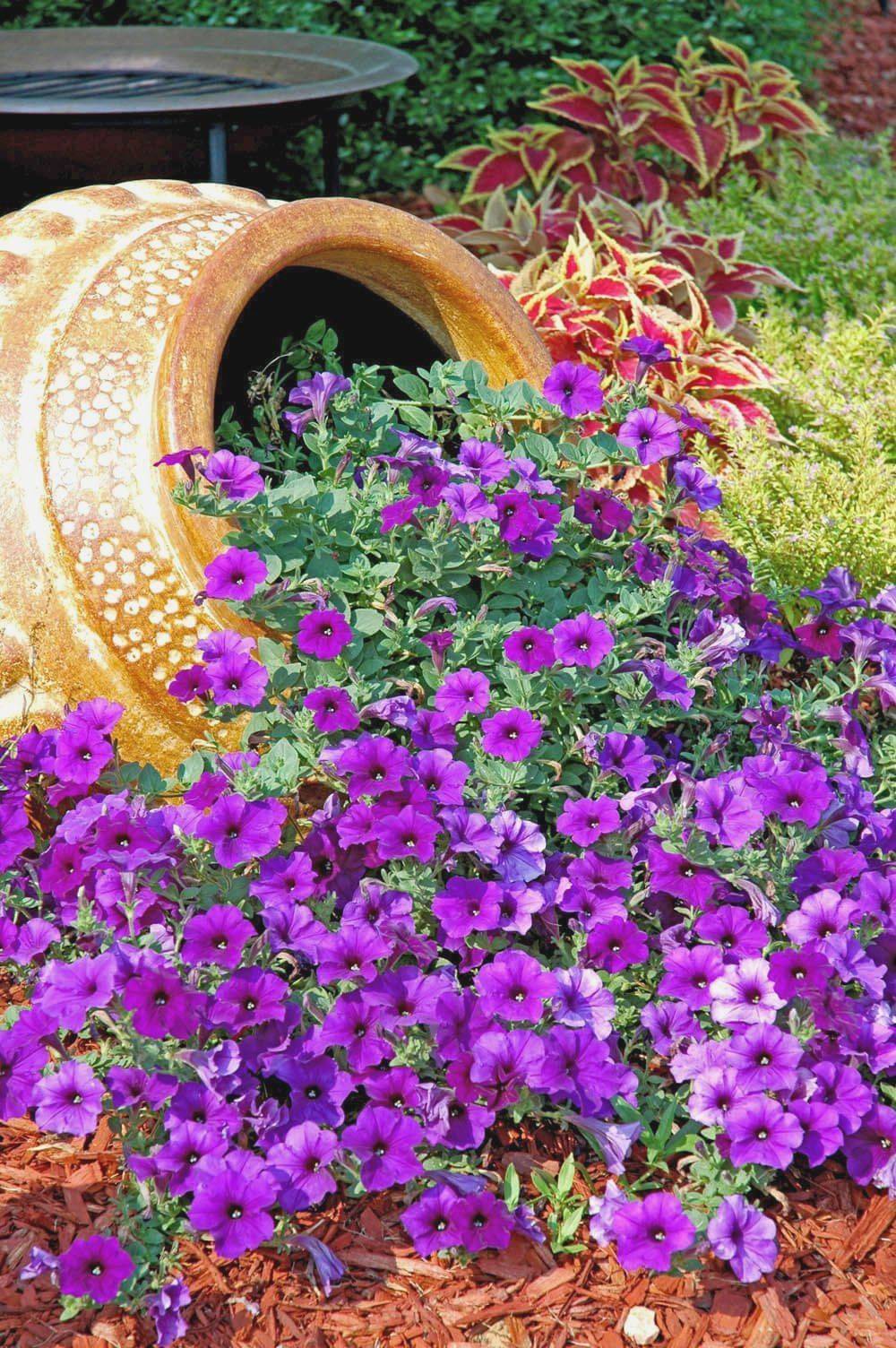 Magical Flower Bed Ideas