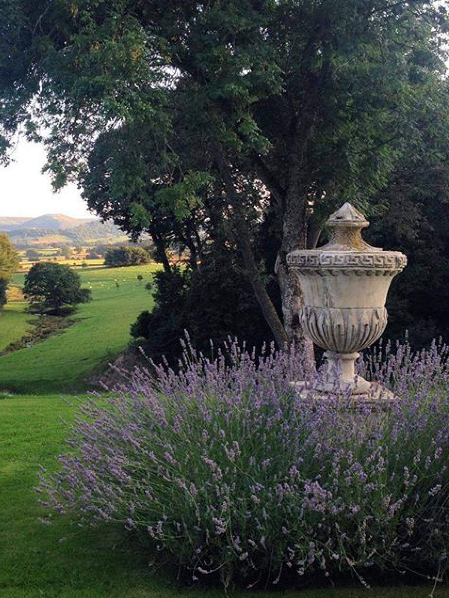 Best Summer Garden Ideas