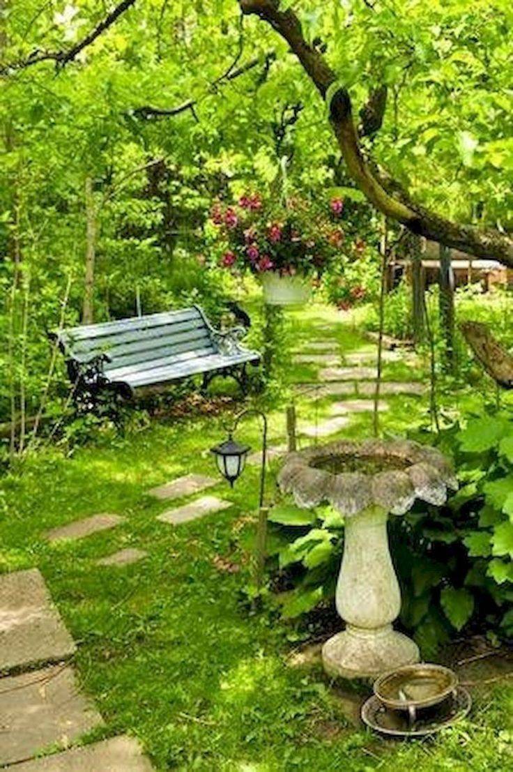 Amazing Succulent Garden