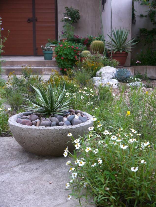 Beauty Garden Ideas