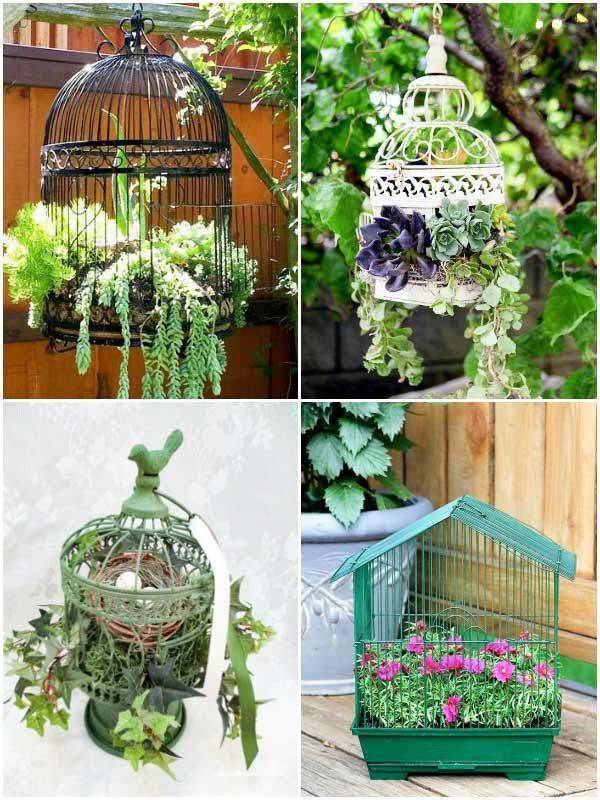 Amazing Garden Decoration Ideas