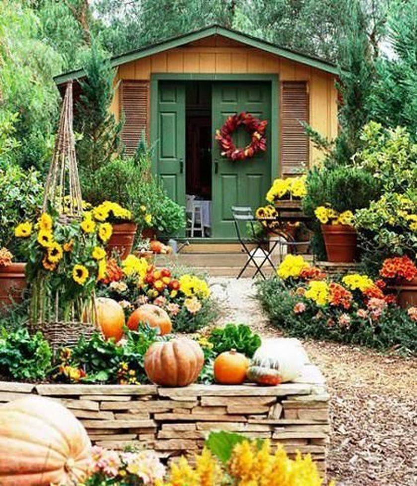 Beautiful Fall Mums Garden Landscaping Ideas
