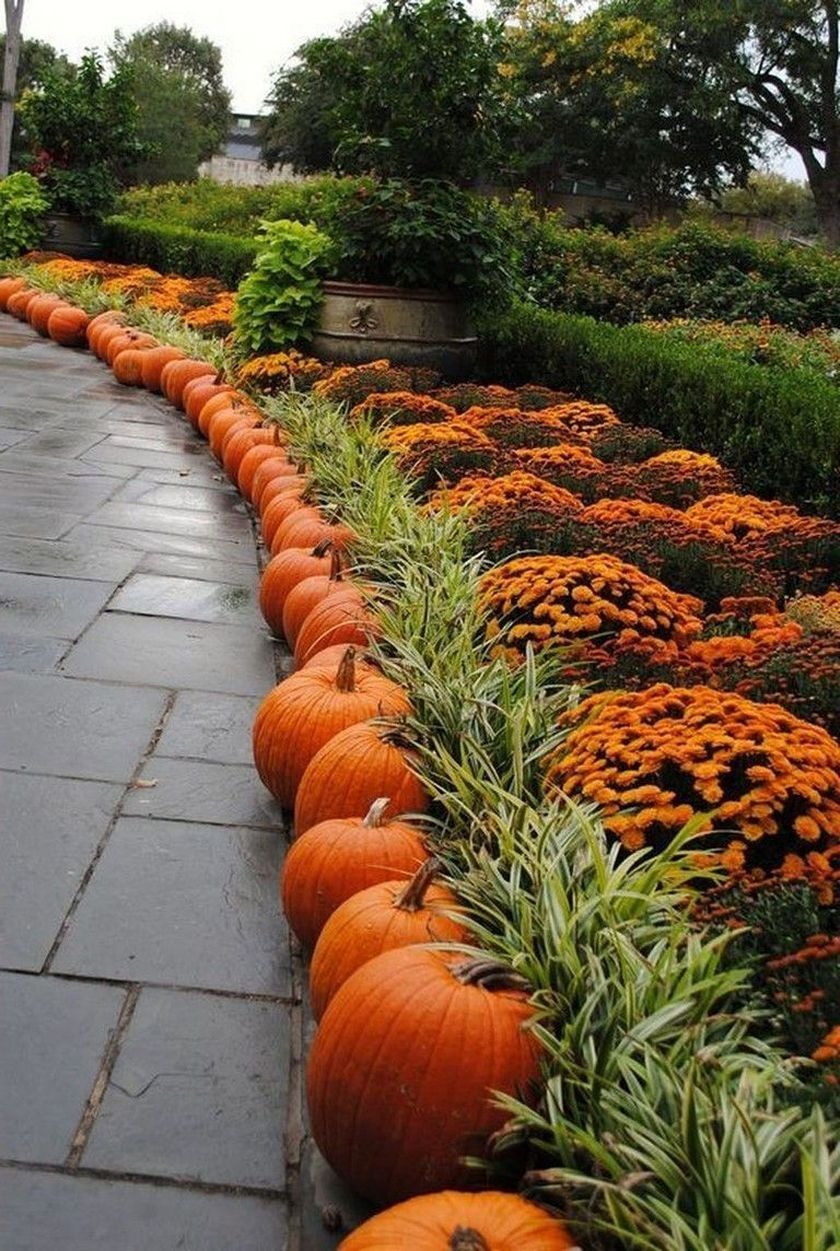 Autumn Garden Tips