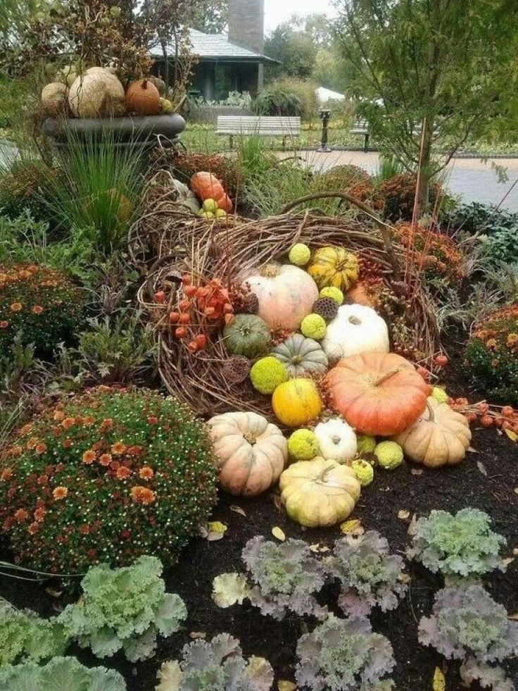 Fall Container Gardening Ideas Southern Living