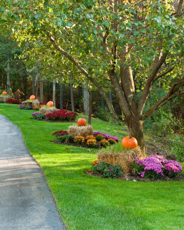 Fall Landscaping Ideas