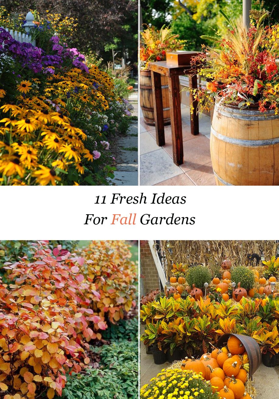 Gorgeousoutdoorfallcontainergardenideas