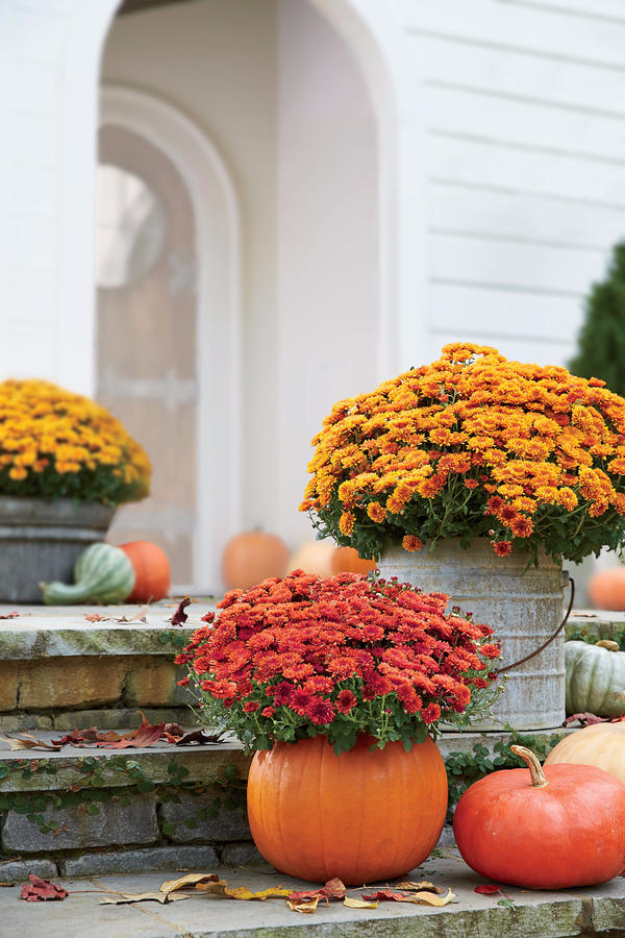Impressive Autumn Garden Decor Ideas