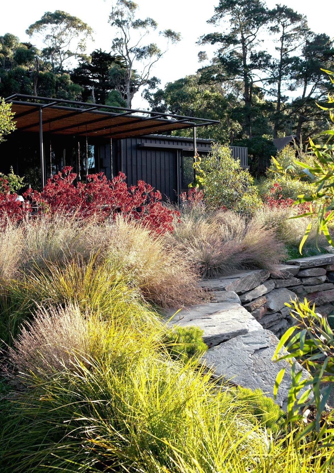A Simply Beautiful Contemporary Australian Native Garden