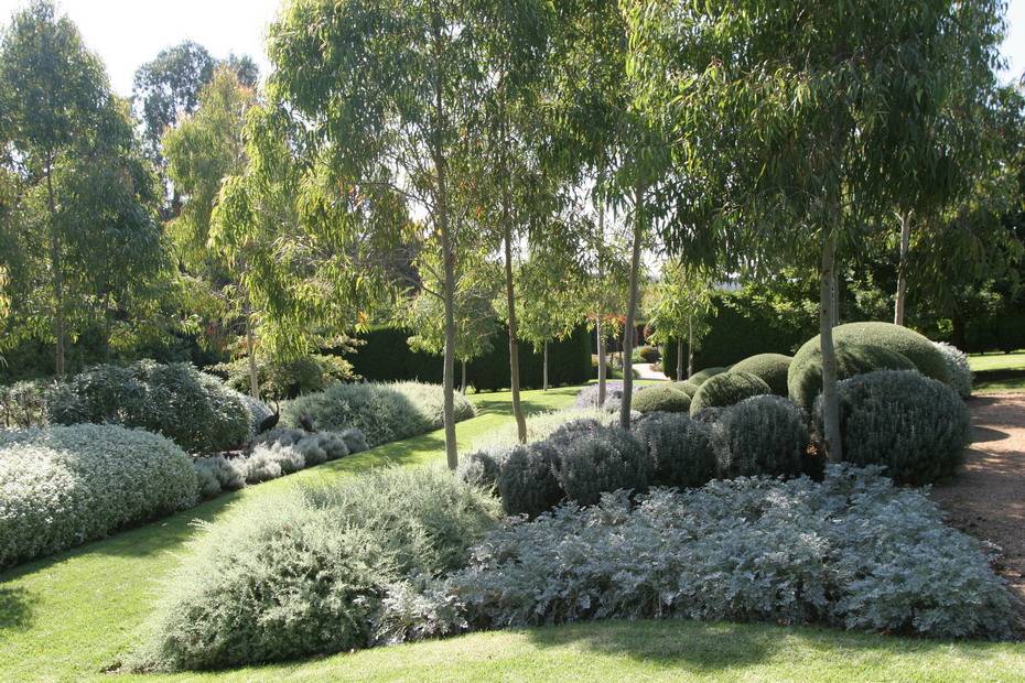 Boardwalk Australian Garden