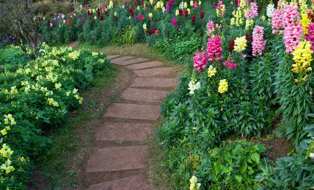 Beautiful Backyard Walkway Ideas