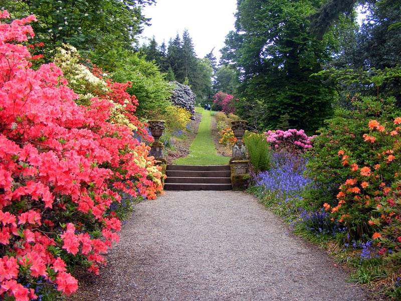 Flowery Garden Path Hd Wallpaper Background Image