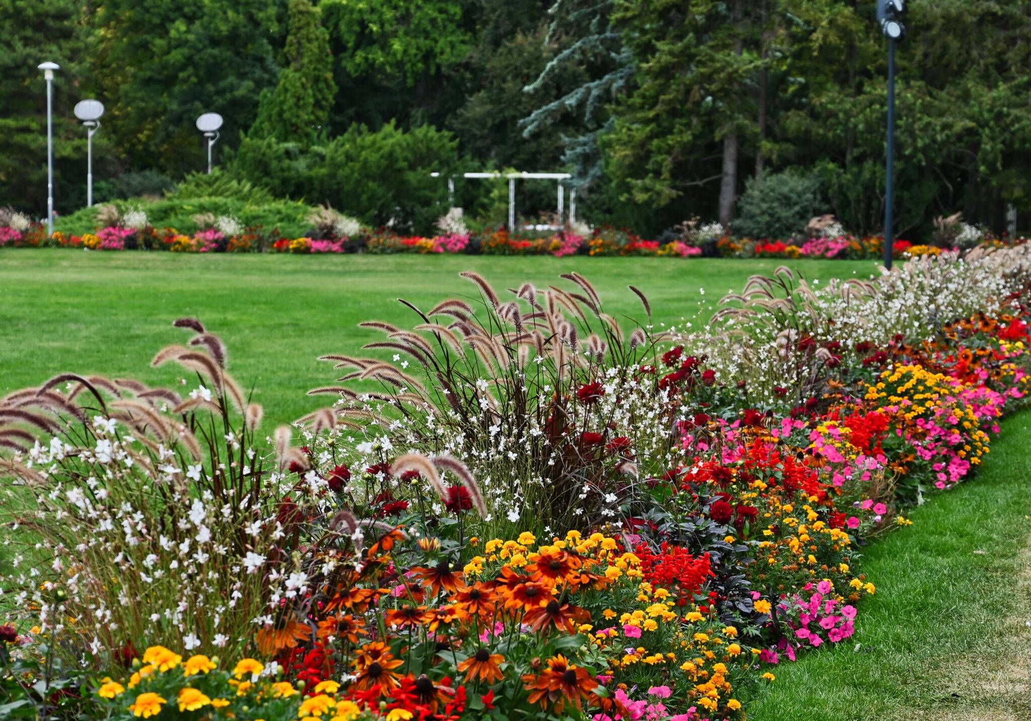 Cheap Flower Garden Ideas