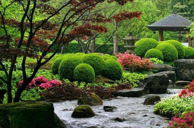 Backyard Garden Japanese Garden