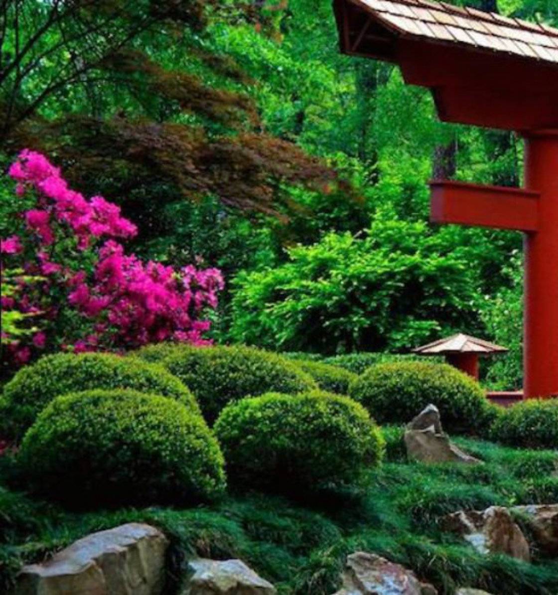 Japanese Garden Design Ideas