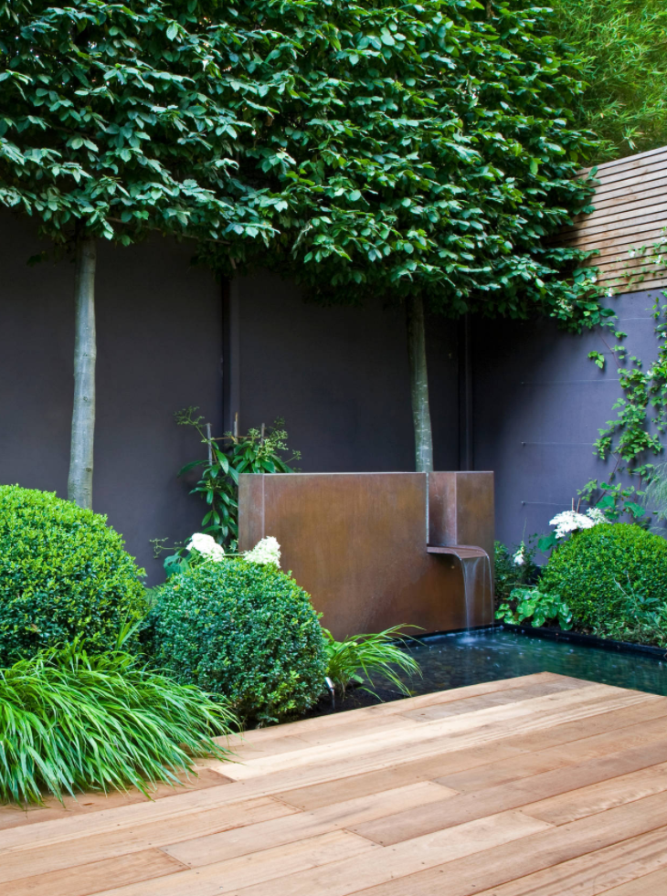 A Florists Lush Inner City Garden City Garden