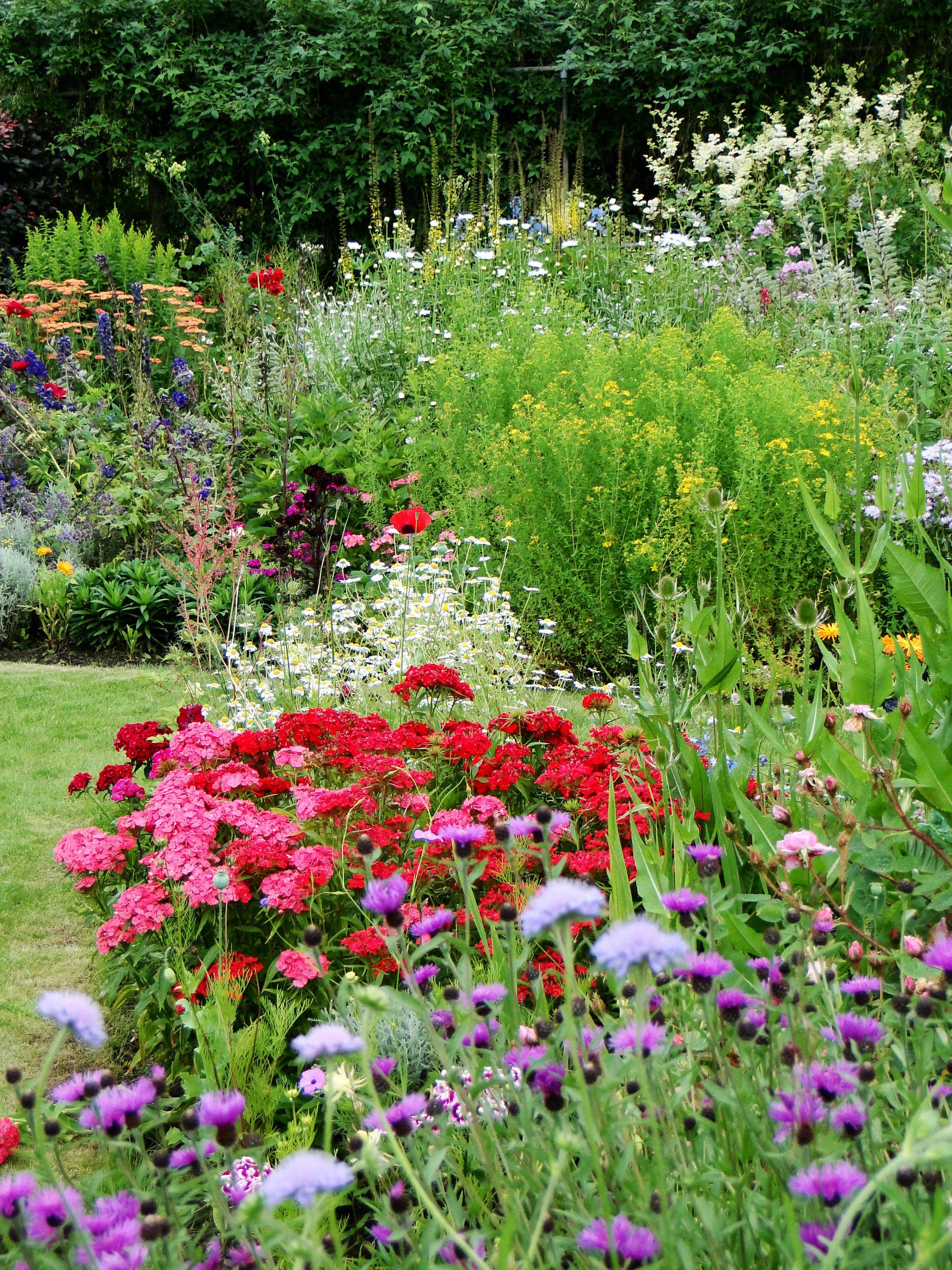 Perennial Garden Ideas