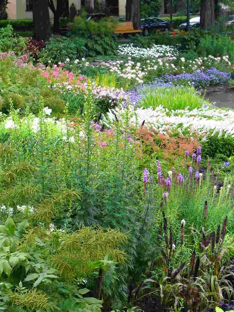 Cottage Gardens Bing Images More Gardening