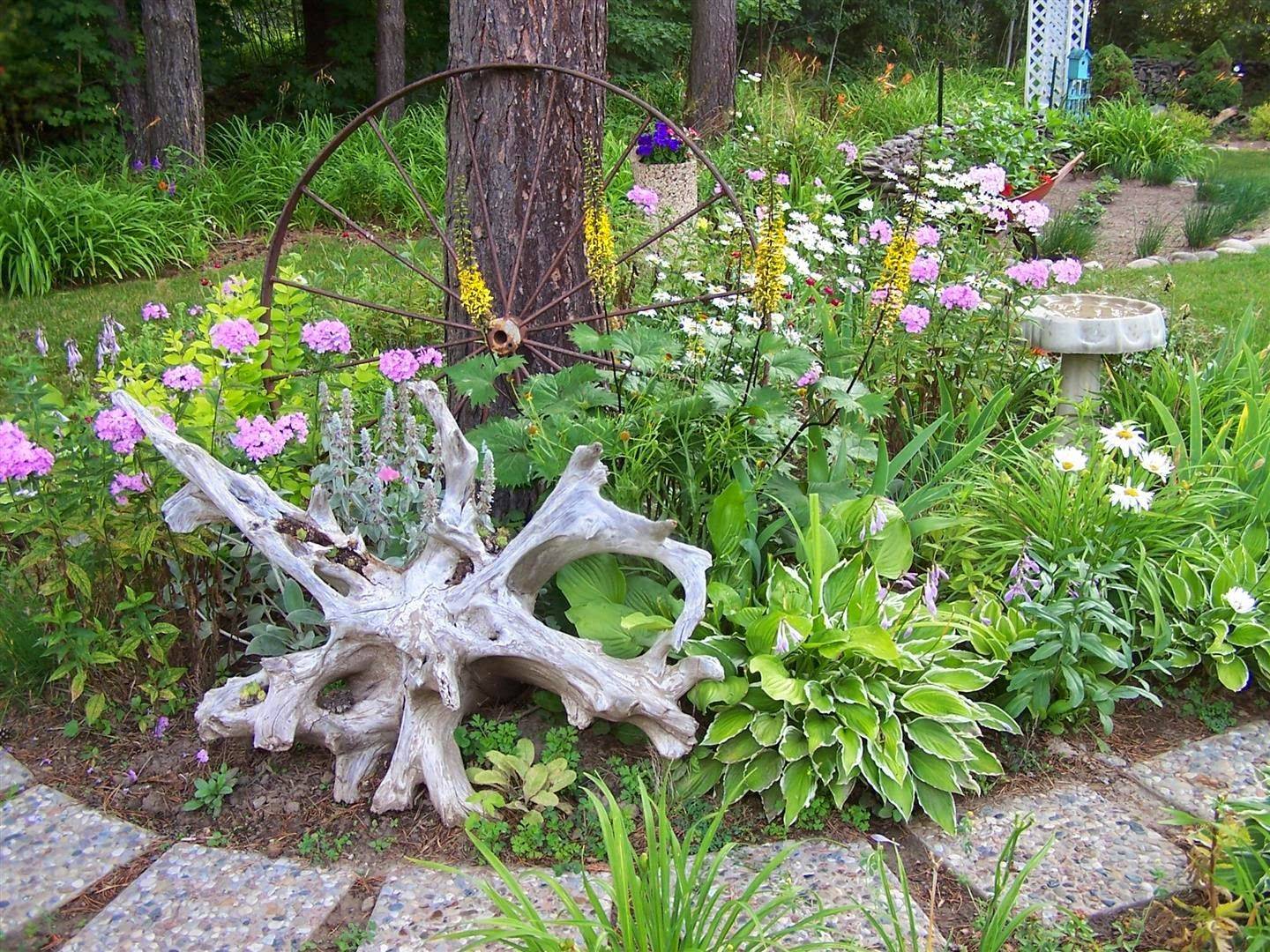 Small Backyard