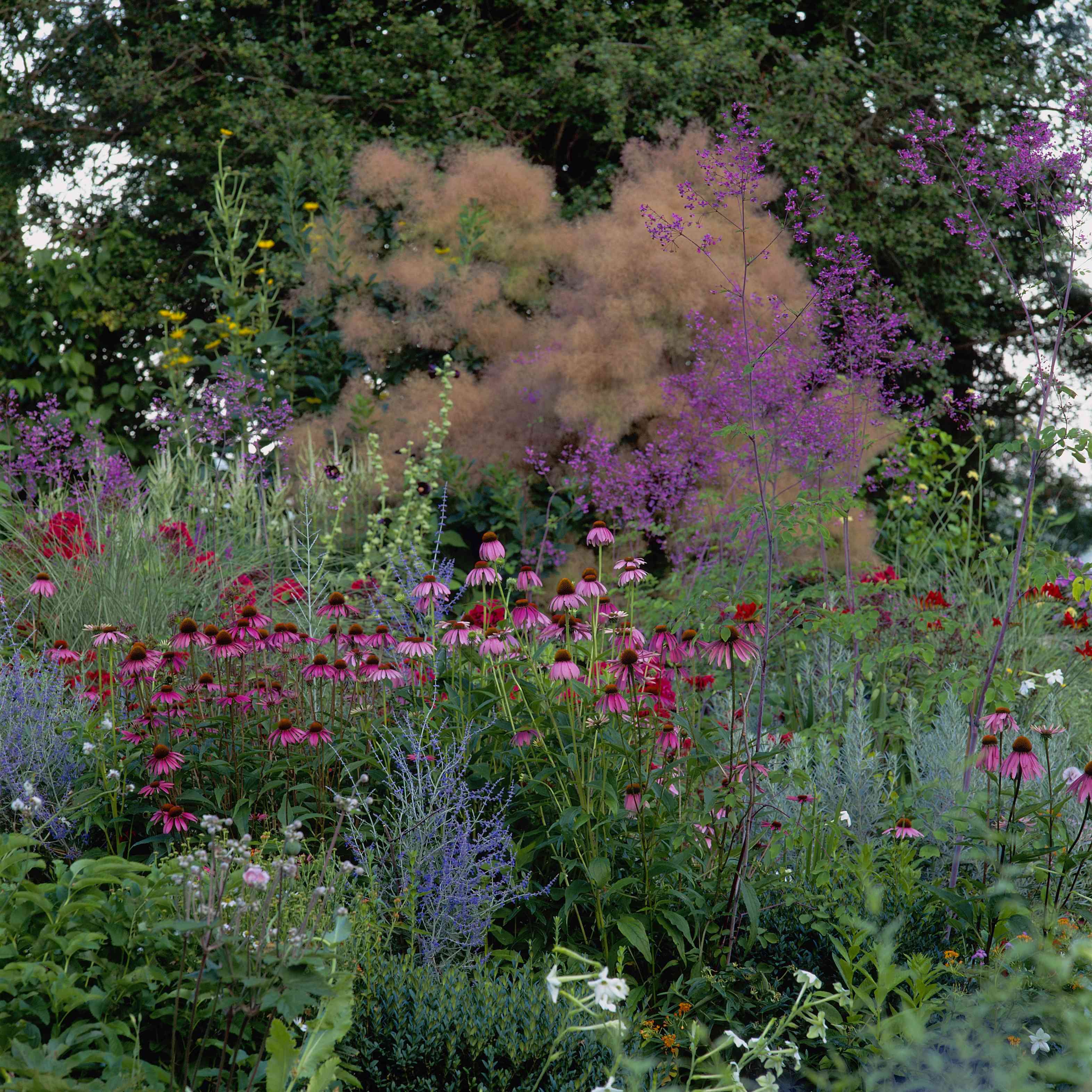 Flower Garden