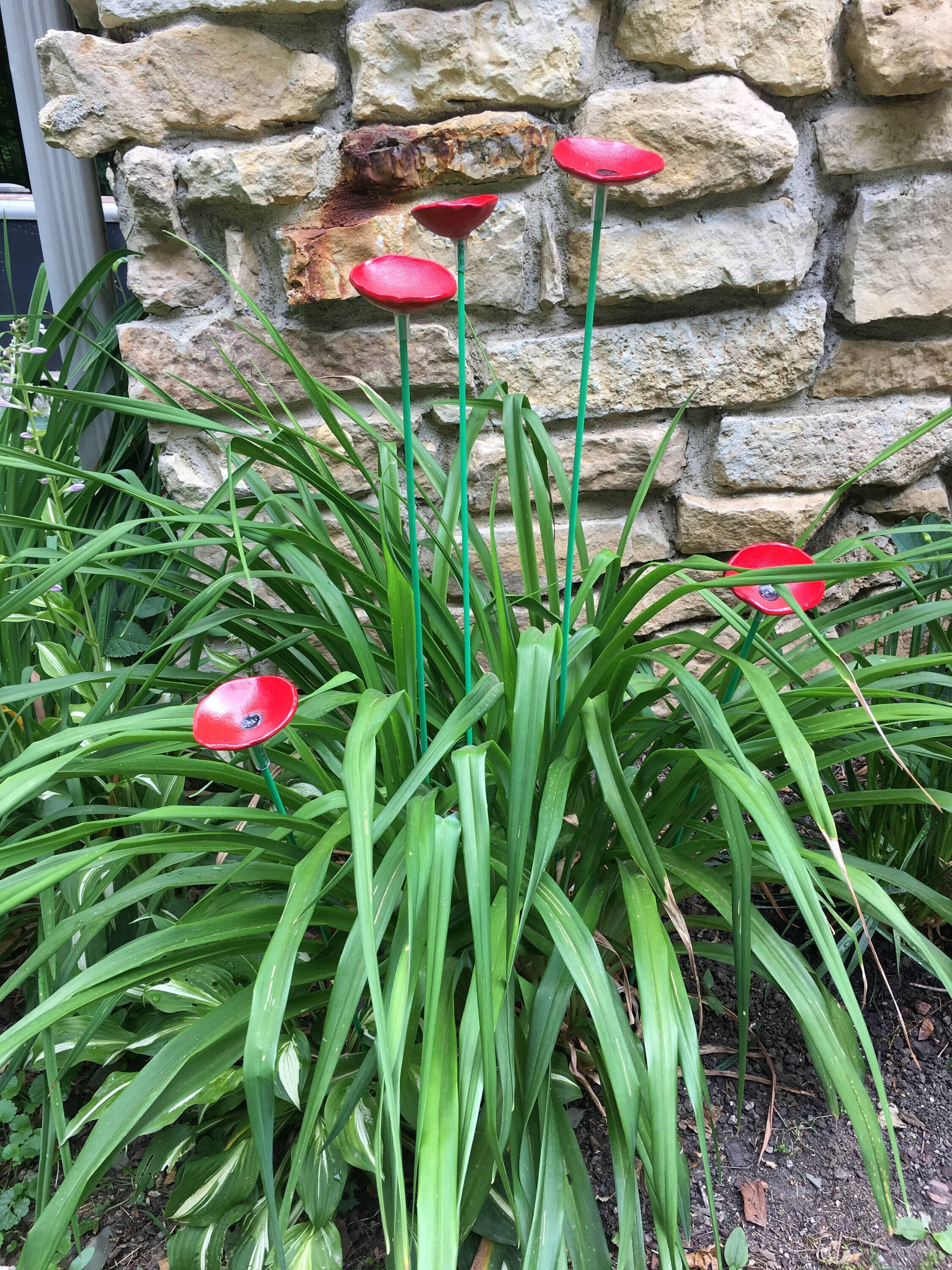Amazing Garden Stakes