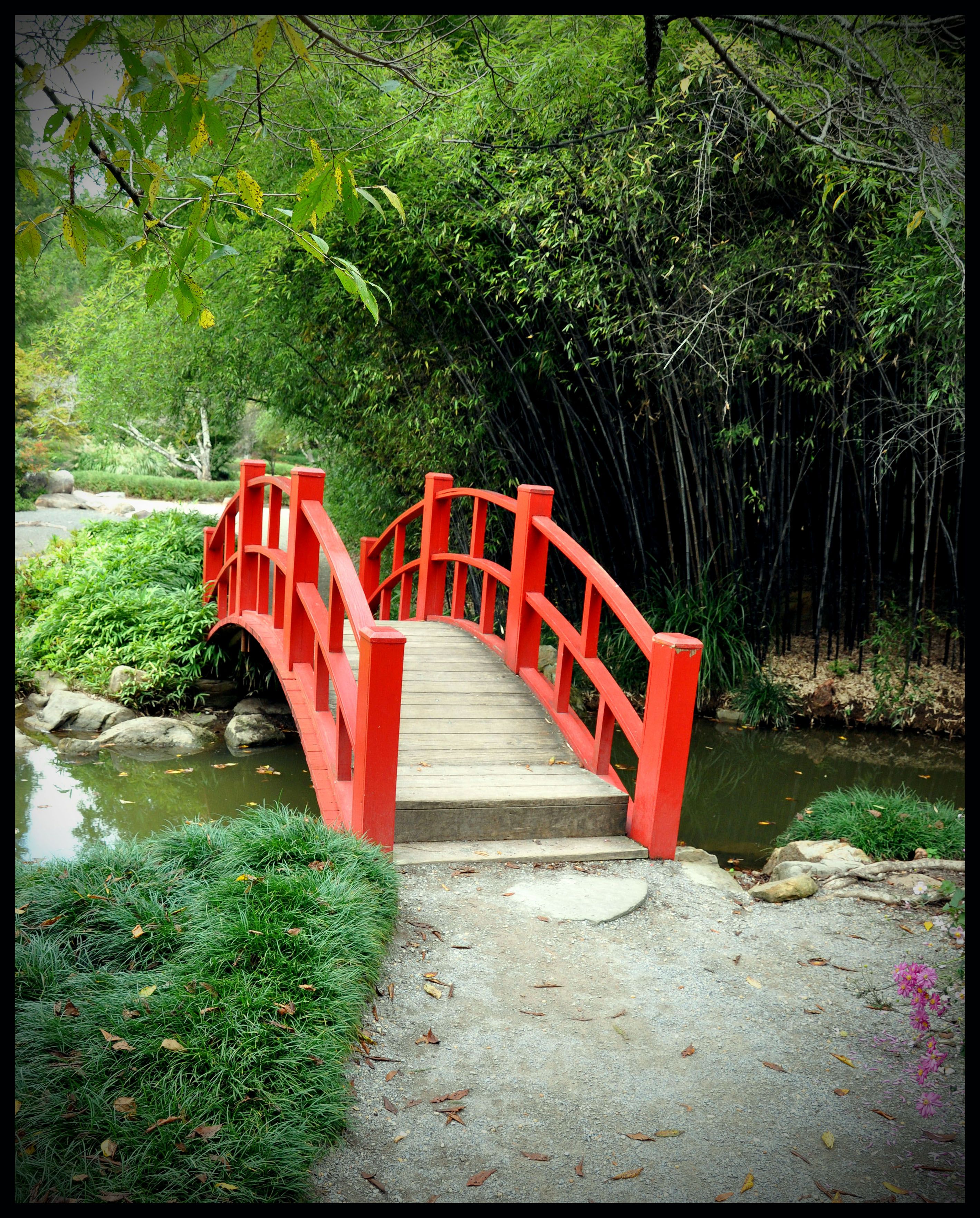 Incredible And Varied Garden Bridge Designs Garden Lovers Club