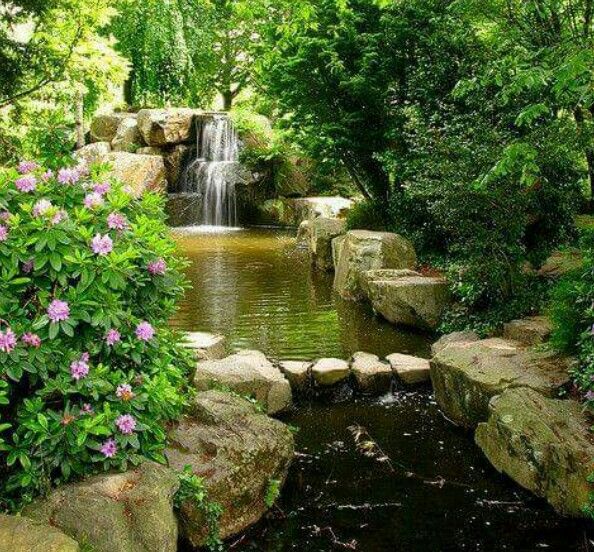 Autumn Dream Garden