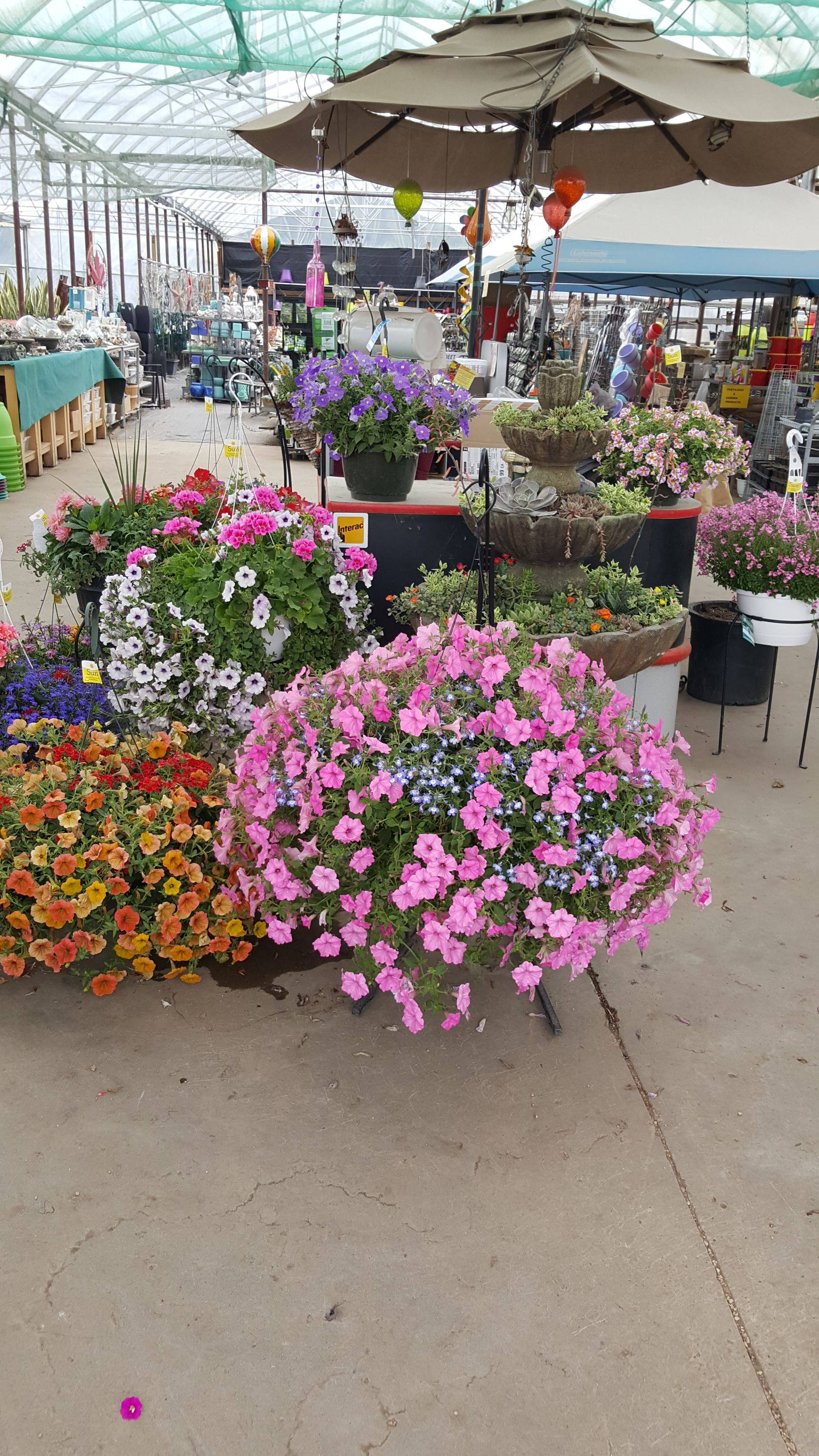 Striking Petunia Centerpiece Ideas