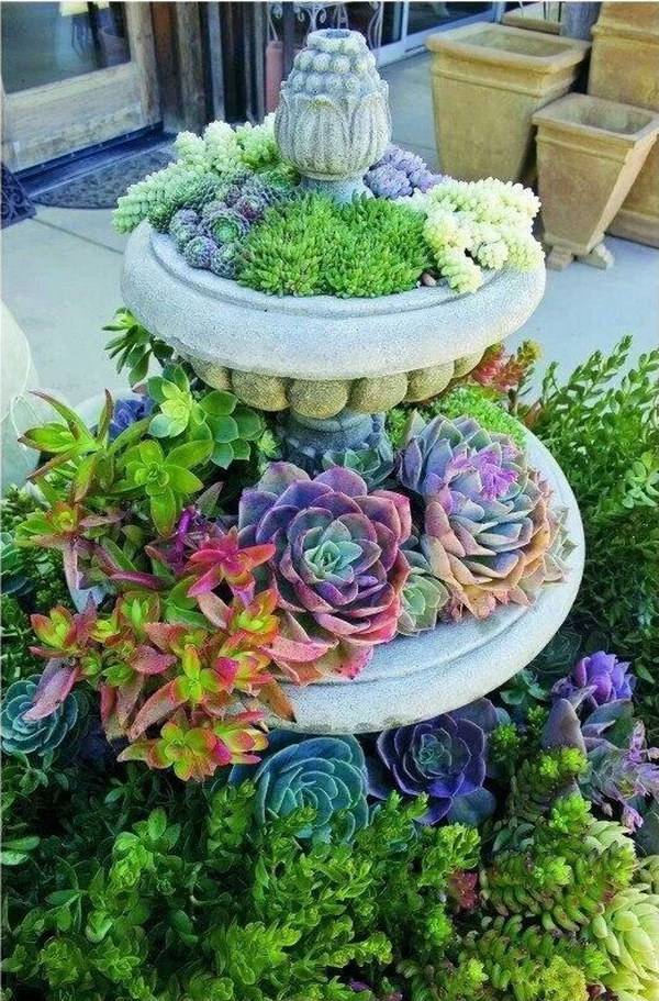 Best Awesome Ideas Diy Indoor Succulents Plant Garden