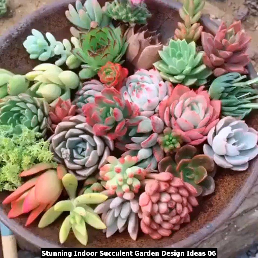 Best Awesome Ideas Diy Indoor Succulents Plant Garden