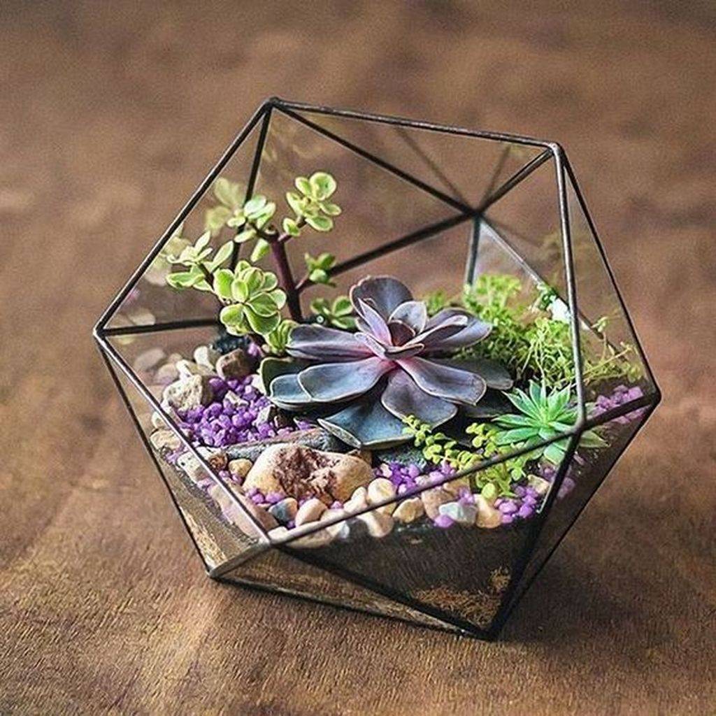 Charming Succulent Indoor Garden Ideas