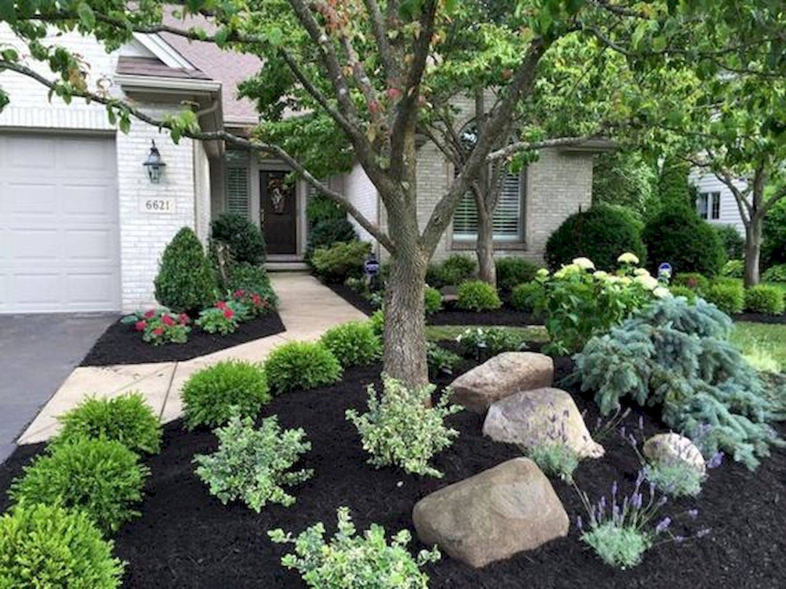 Stunning Low Maintenance Front Yard