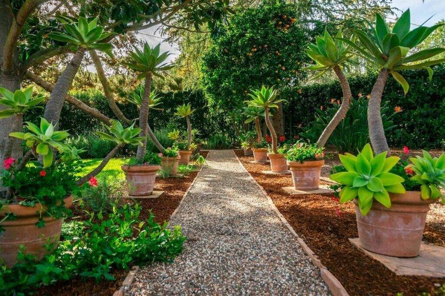 Vegetable Garden Design