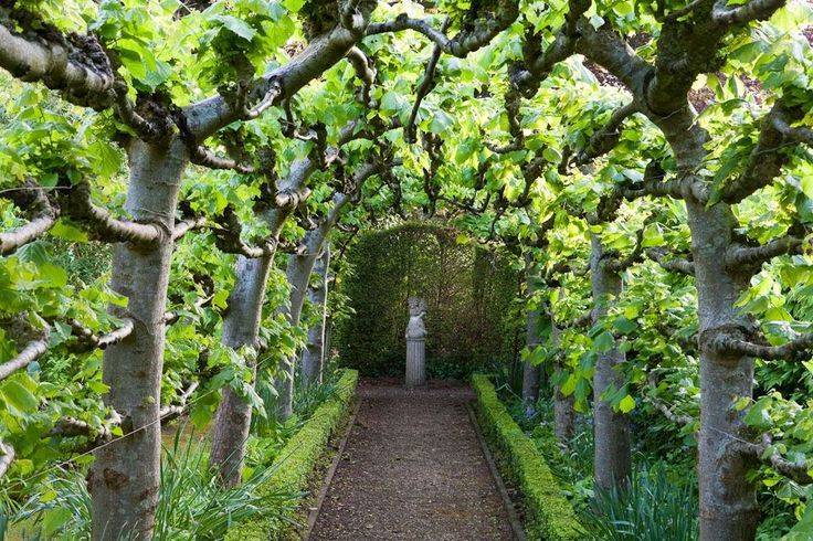 The Pacific Northwest