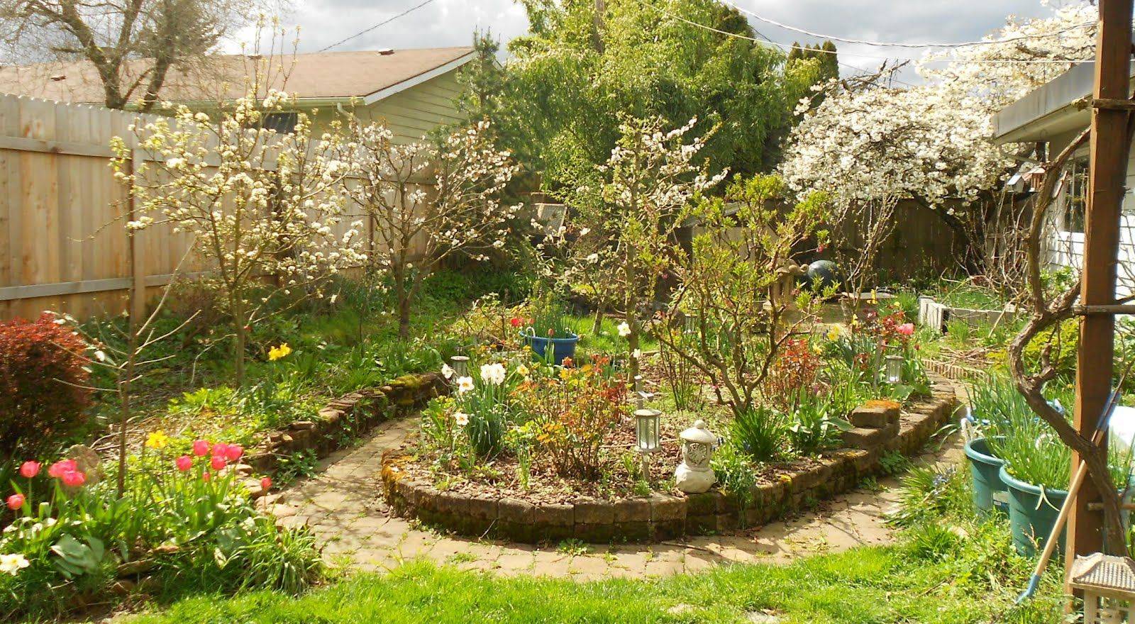 Backyard Fruit Trees