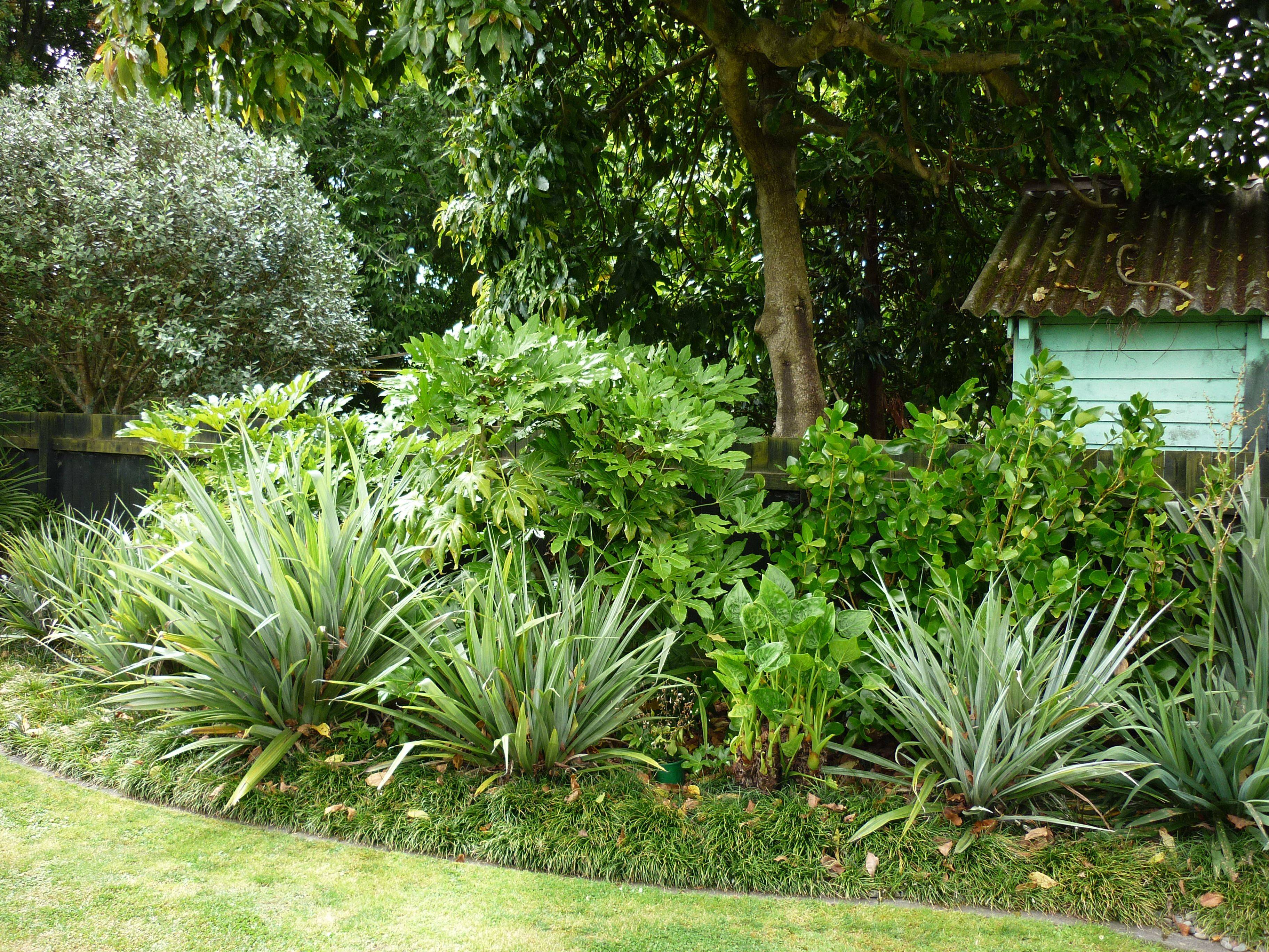 Small Backyard Garden