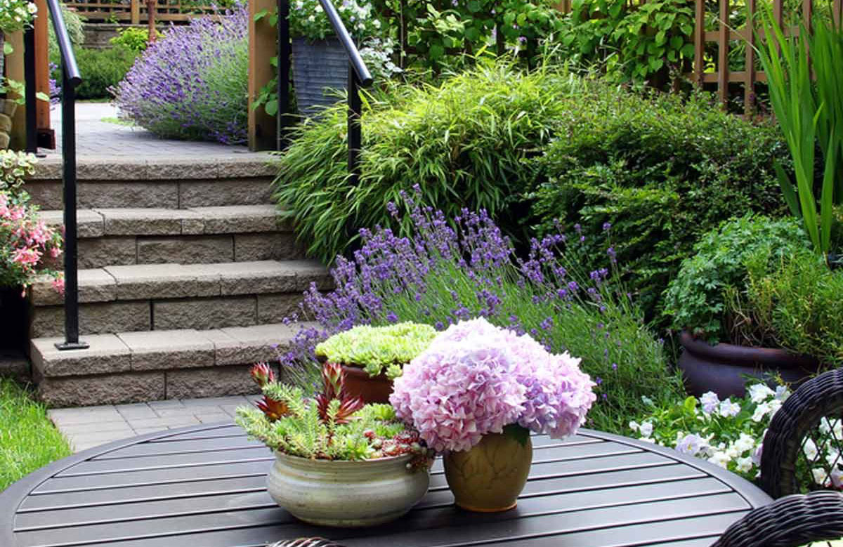 New Zealand Gallery Garden Design