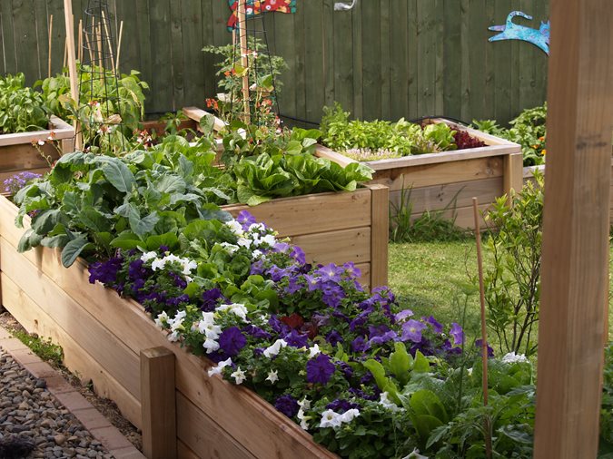 A Designers Garden
