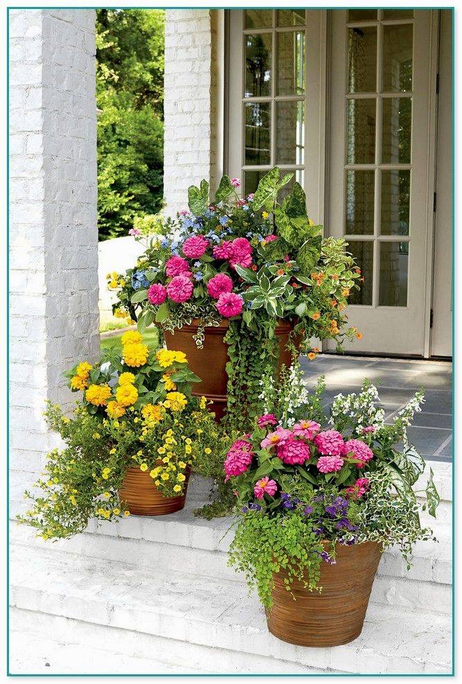 Container Gardening Top Home Information