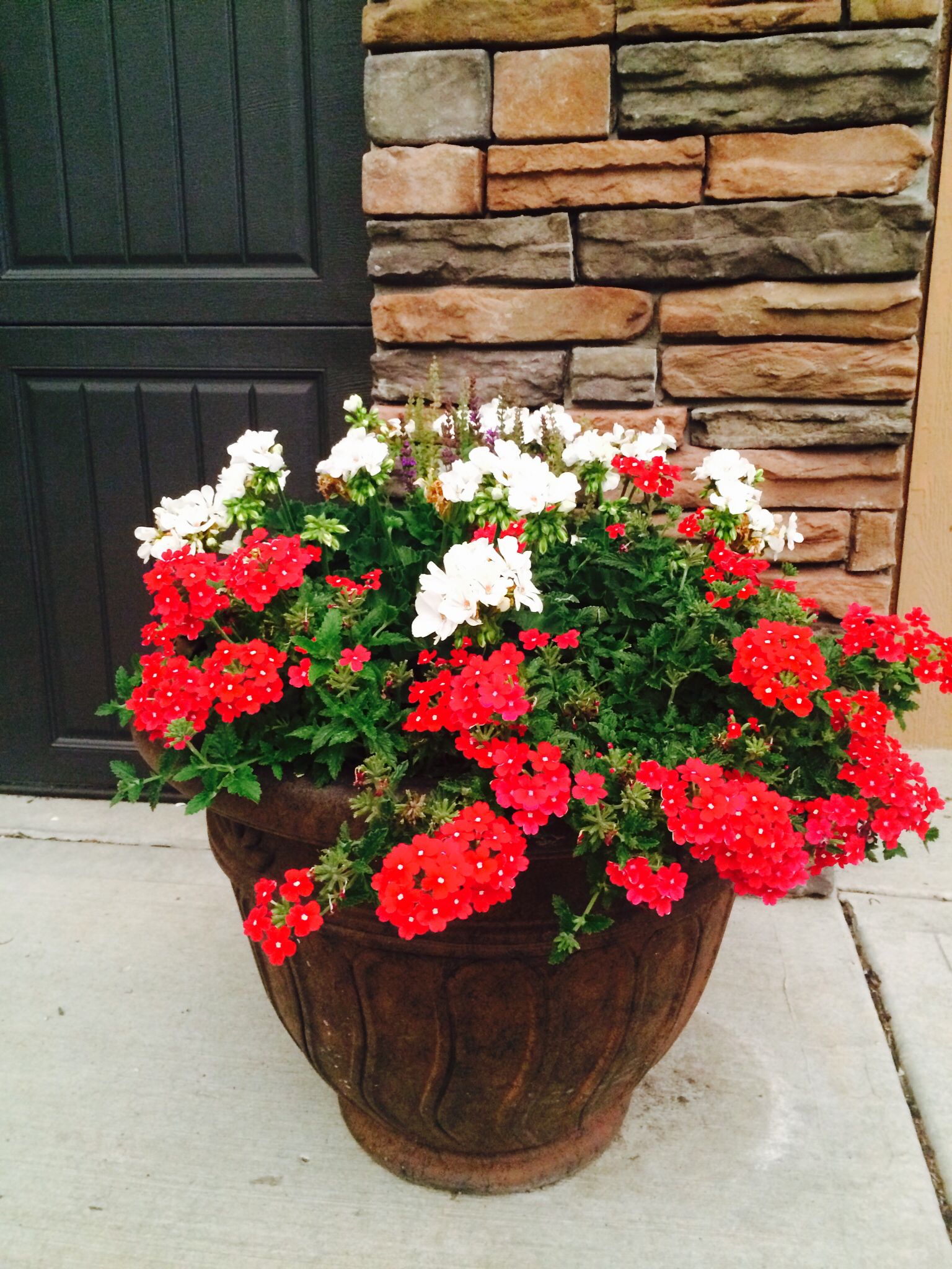 Fresh And Easy Summer Container Garden Flowers Ideas Flowerpot