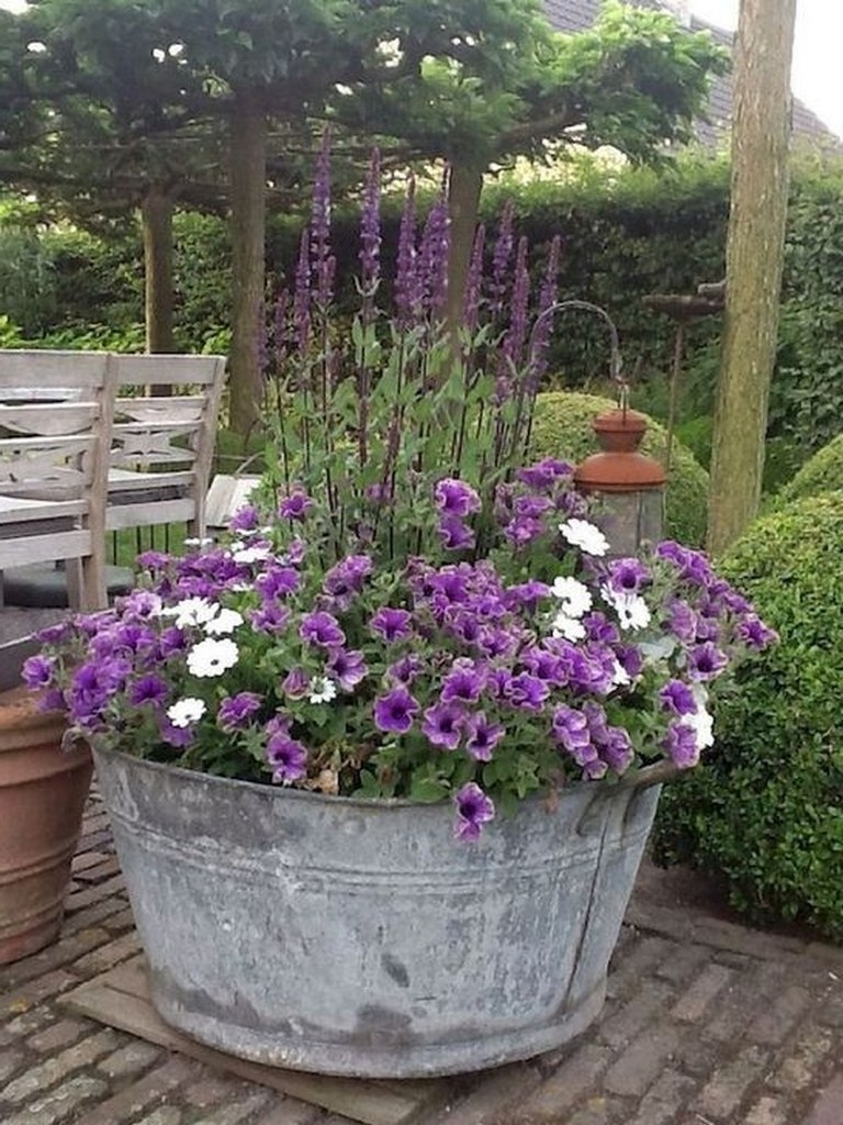 Dahlia Container Gardening Google Search Gardens Pinterest