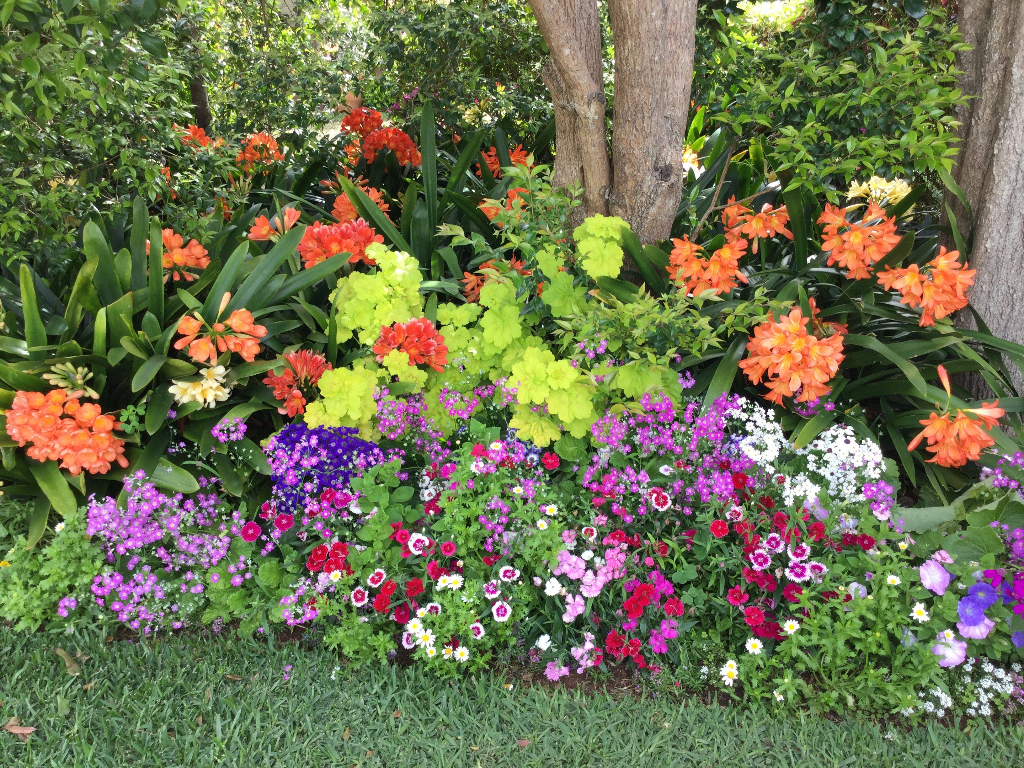 Amazing Garden Design Ideas