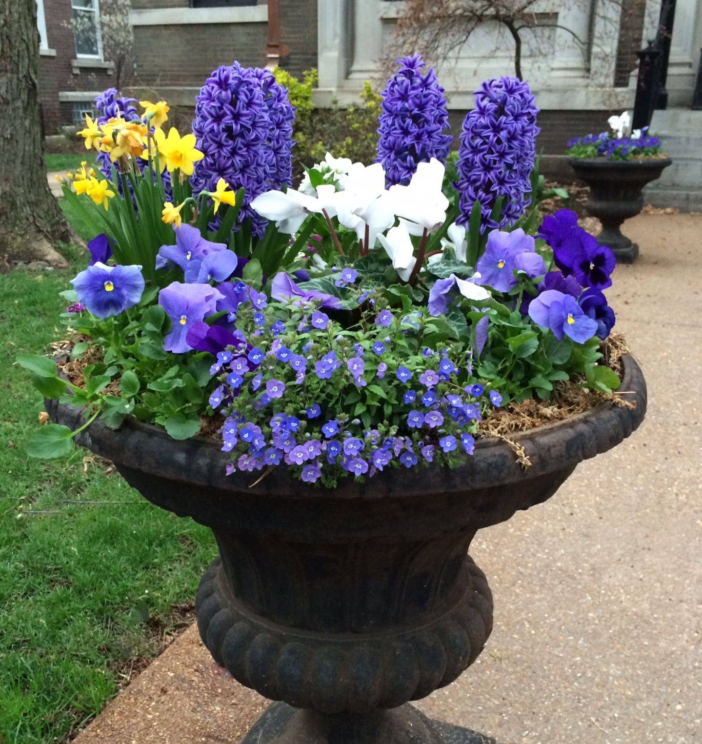 Beautiful Spring Garden Ideas