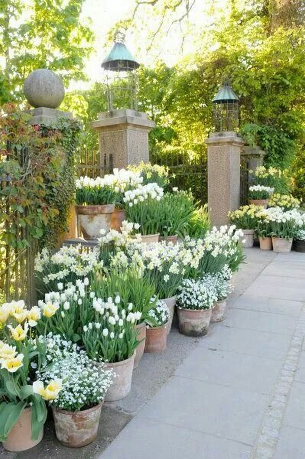 Lovely Flower Beds Design Ideas