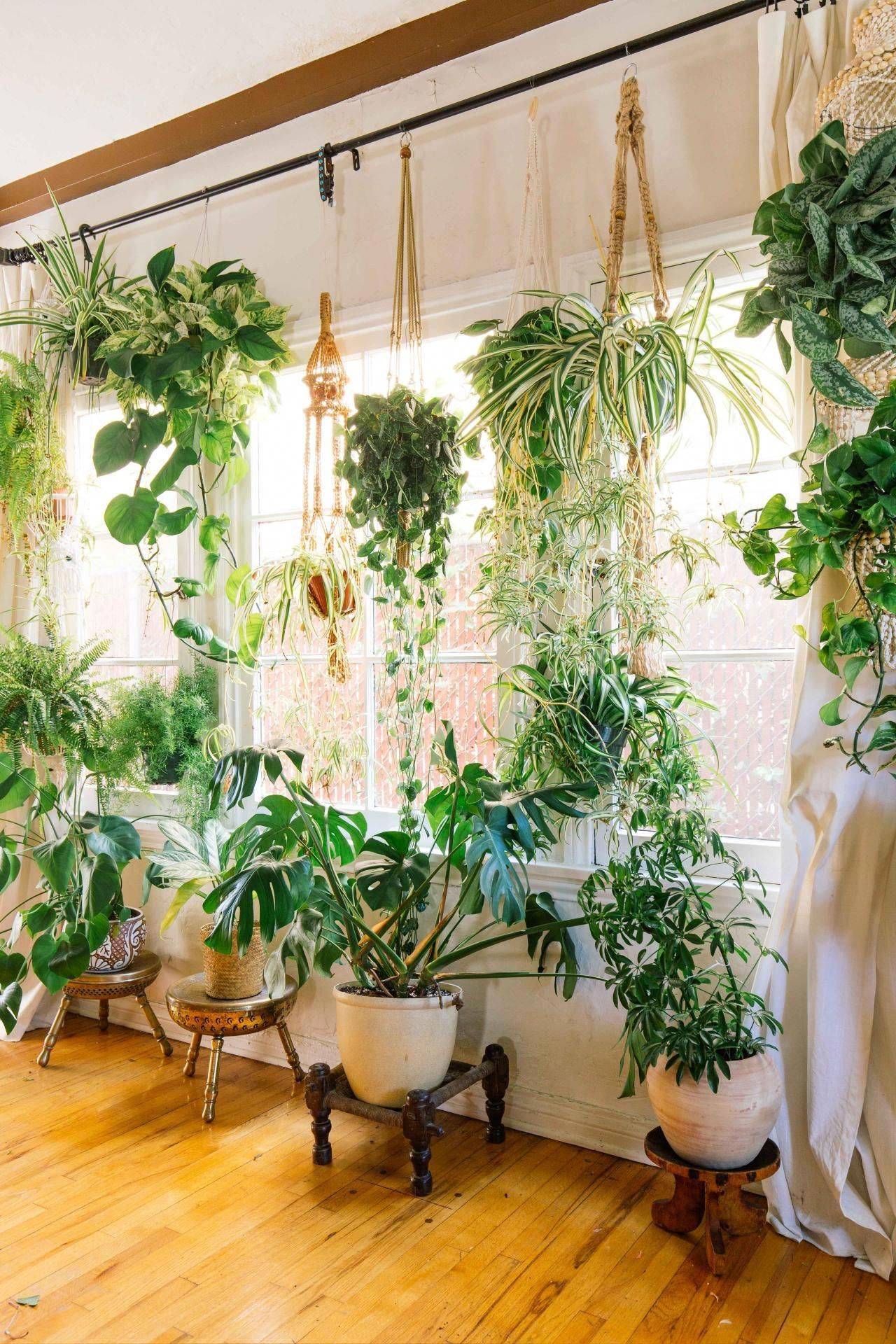 Awesome Indoor Plants Decor Ideas