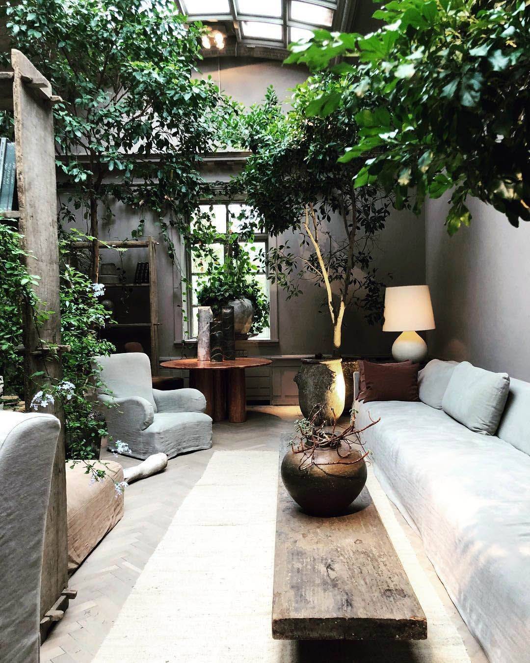 Green Indoor Plants