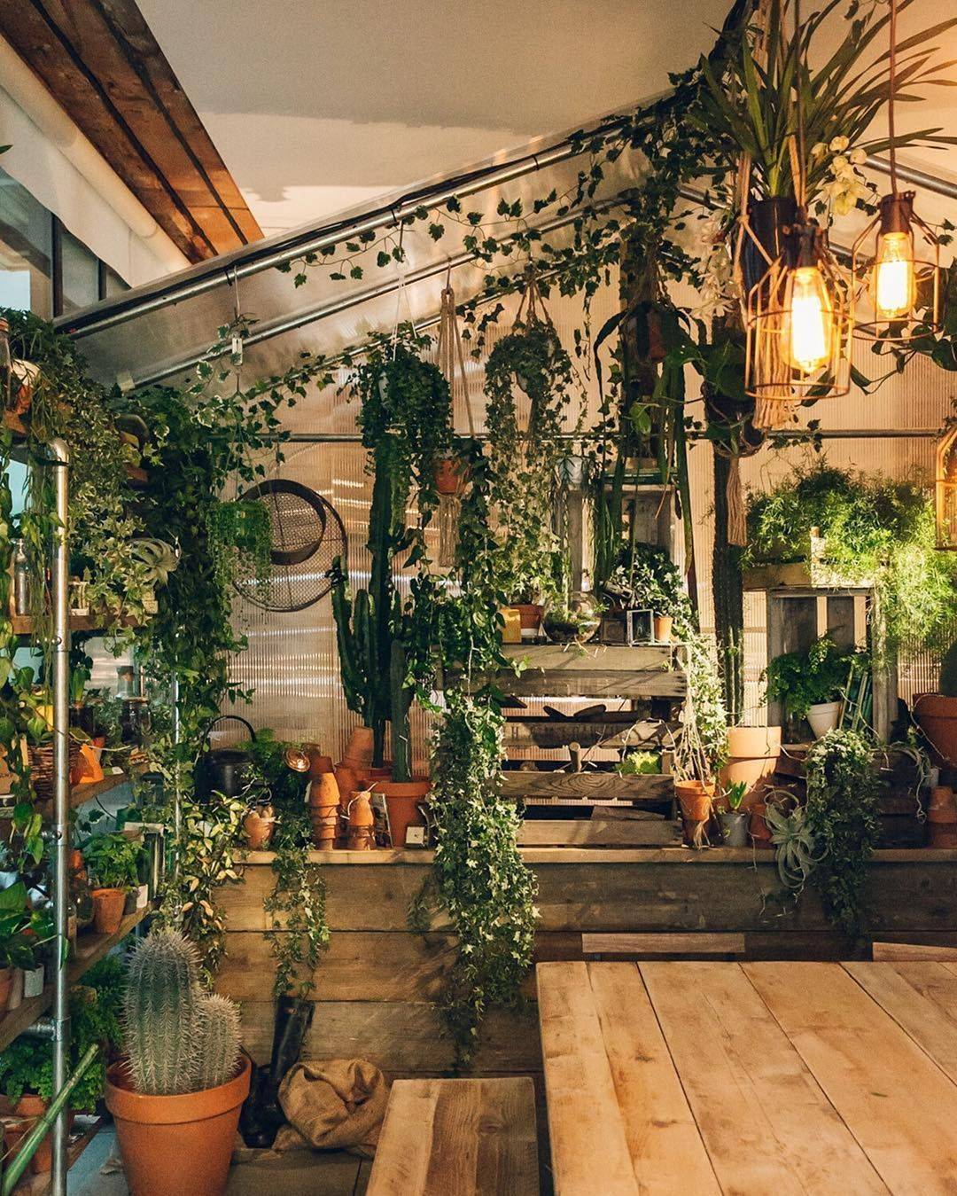 Your Own Winter Garden
