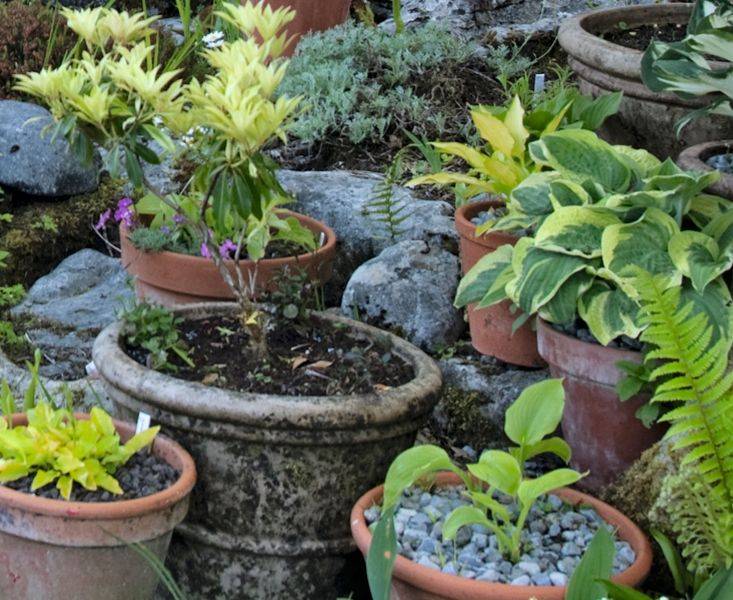 All Irish Garden Landscaping Ideas